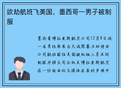 欲劫航班飞美国，墨西哥一男子被制服