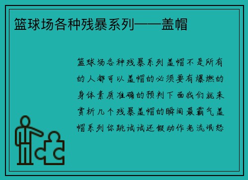 篮球场各种残暴系列——盖帽